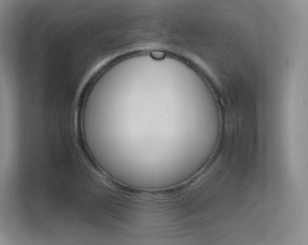 X0000113371270200909151019