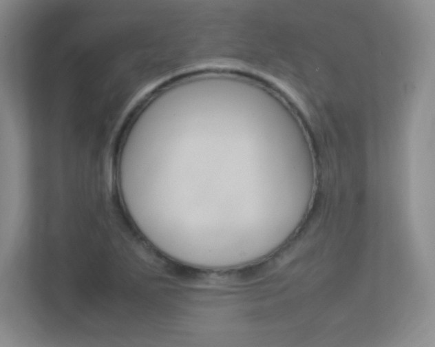X0000113371271200909151019