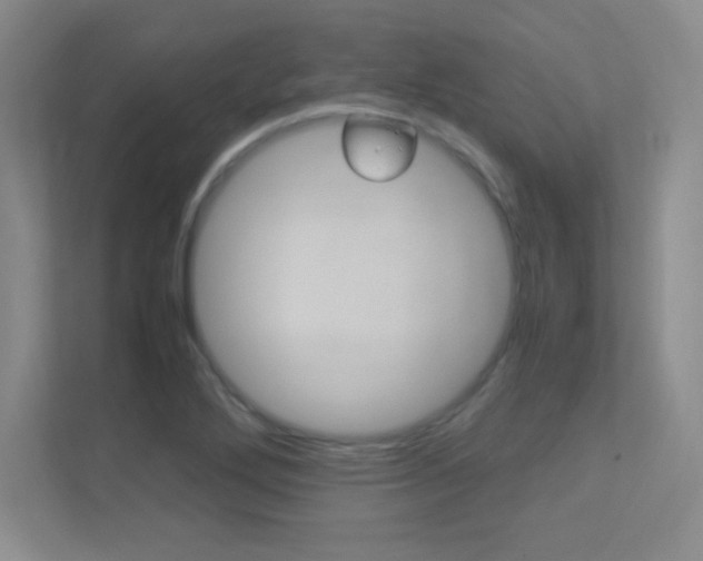 X0000113371272200909151019