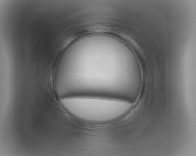 X0000113371273200909151019