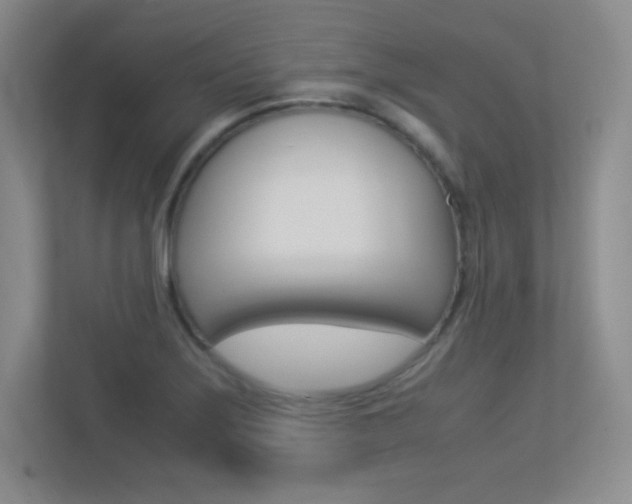 X0000113371275200909151019