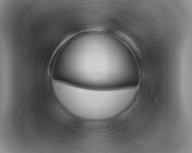 X0000113371276200909151019