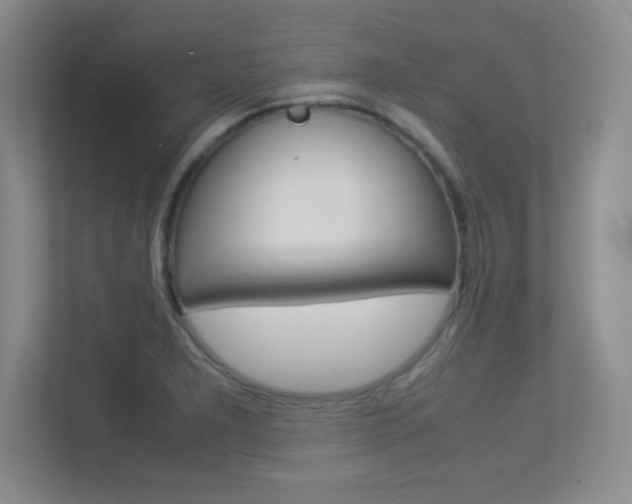 X0000113371277200909151019