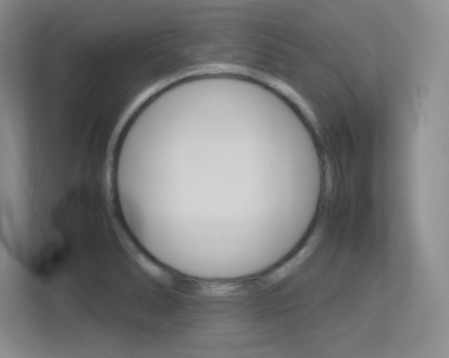 X0000113371278200909151019