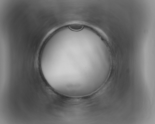 X0000113371279200909151019