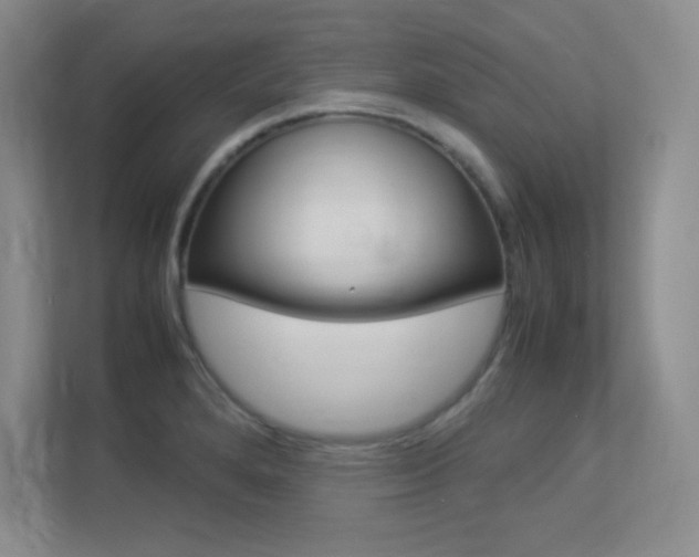 X0000113371280200909151019