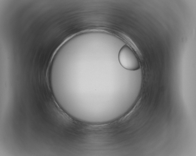 X0000113371284200909151019