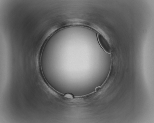 X0000113371285200909151019