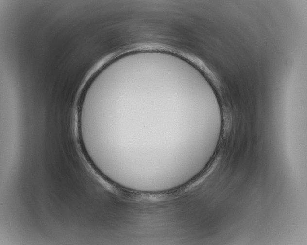 X0000113371286200909151019