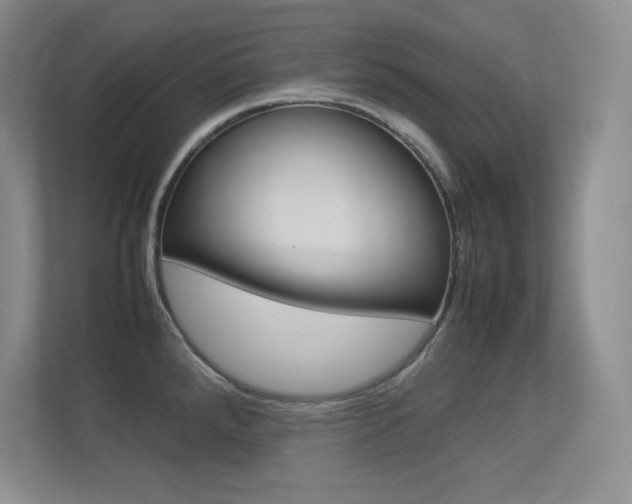 X0000113371288200909151019