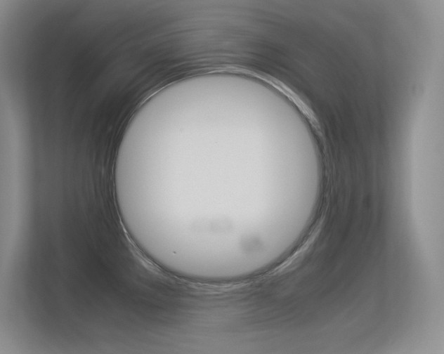 X0000113371289200909151019