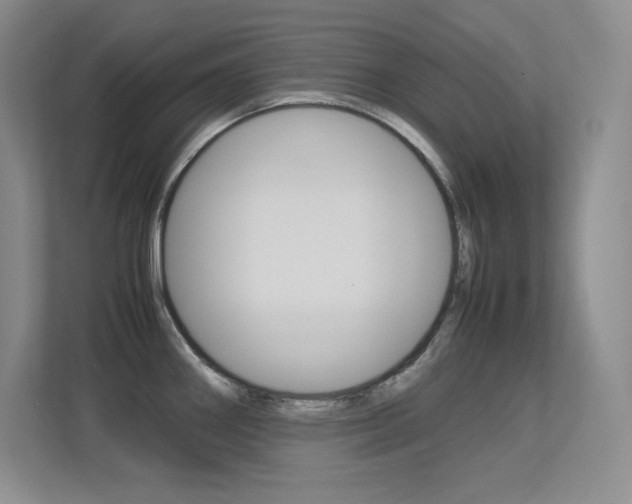X0000113371290200909151019