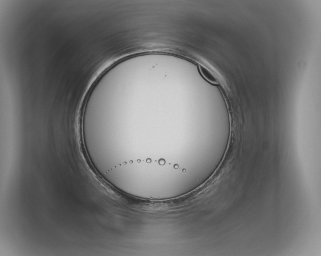 X0000113371291200909151019