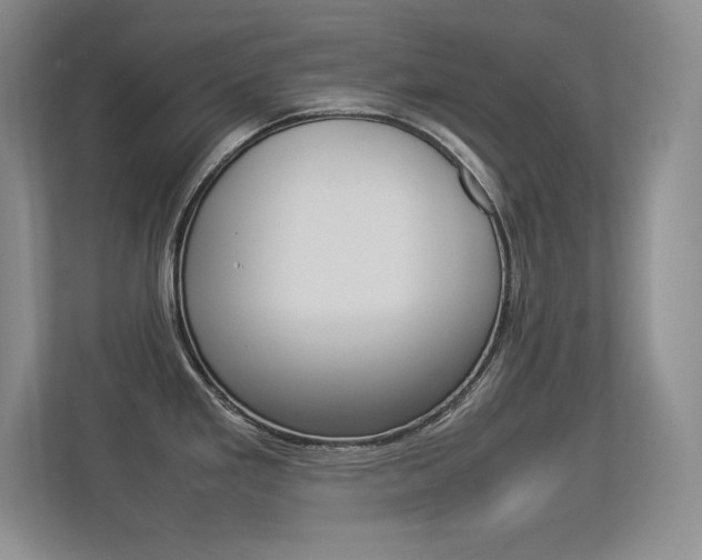 X0000113371293200909151019