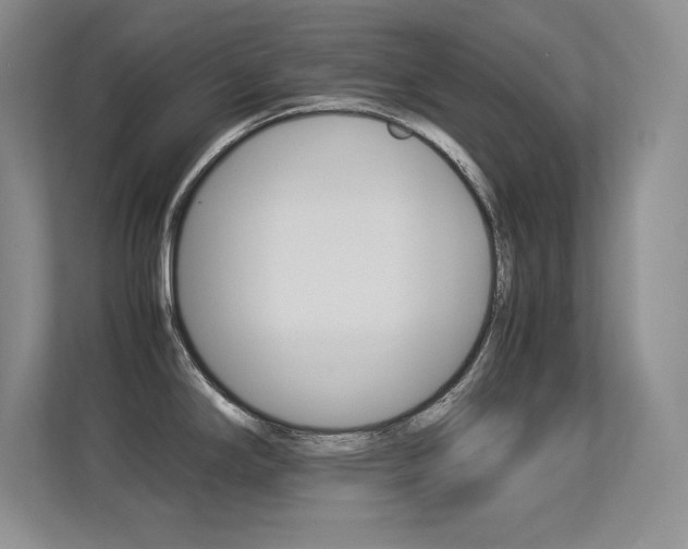X0000113371294200909151019
