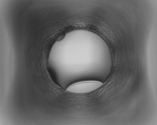 X0000113371297200909151018