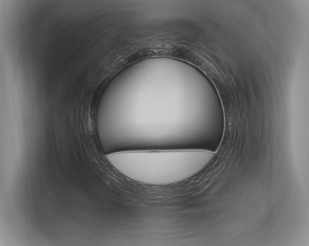 X0000113371298200909151018