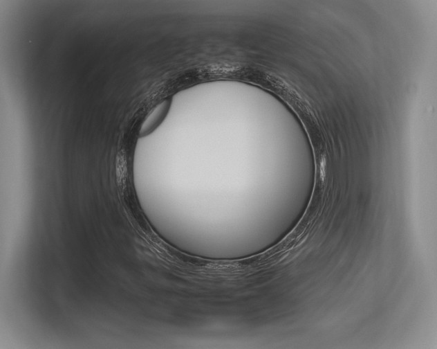 X0000113371299200909151018