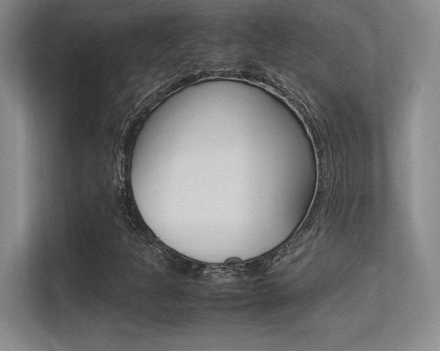 X0000113371301200909151018