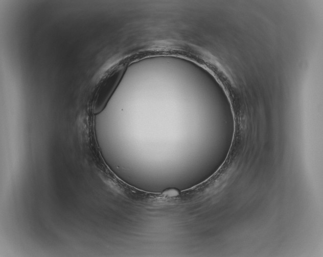 X0000113371304200909151018