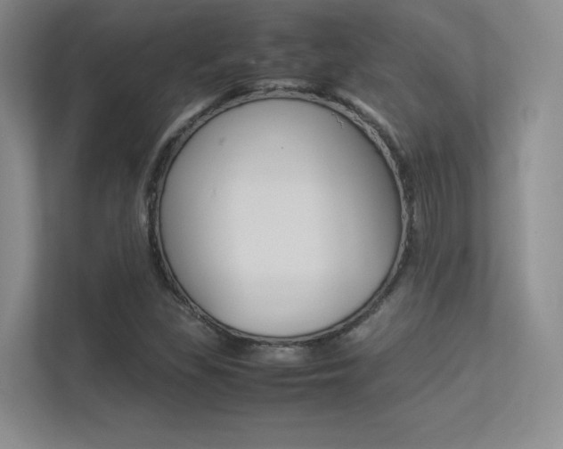 X0000113371309200909151019