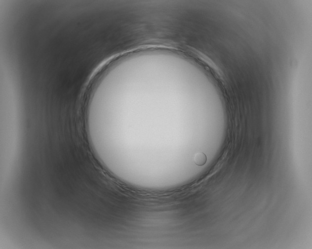 X0000113371310200909151019