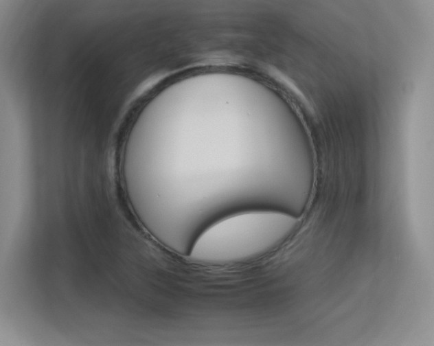 X0000113371315200909151019