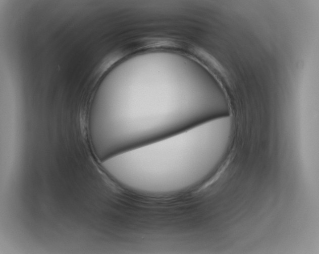 X0000113371321200909151019