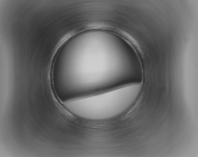 X0000113371330200909151019