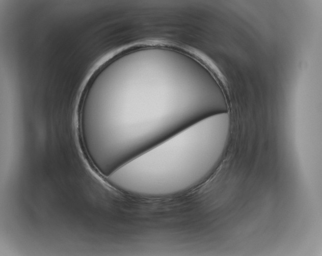 X0000113371335200909151019