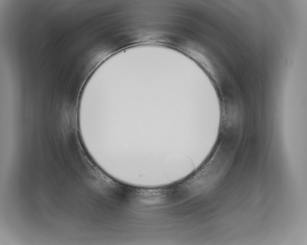 X0000113371338200909151019