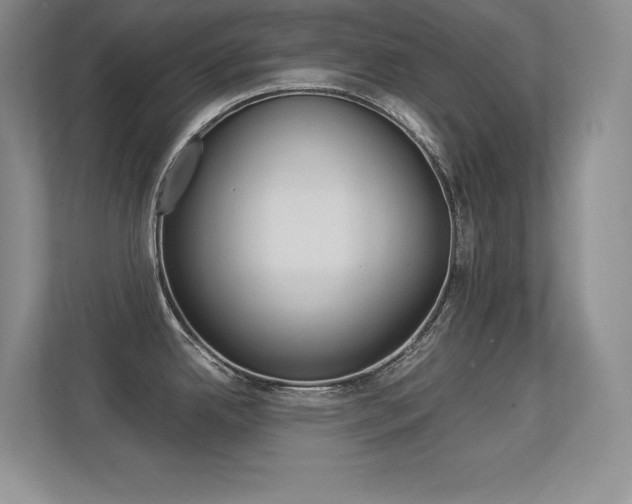 X0000113371342200909151019