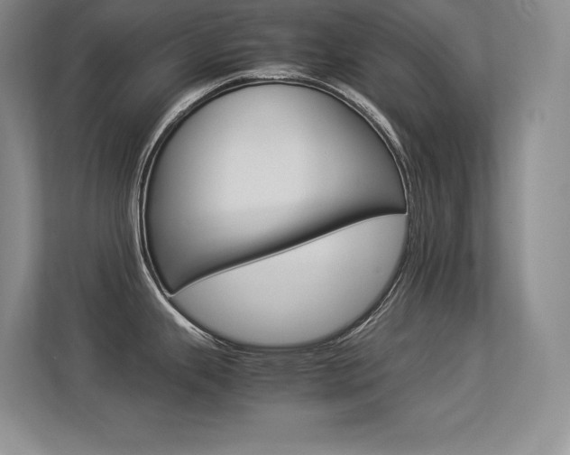 X0000113371343200909151019