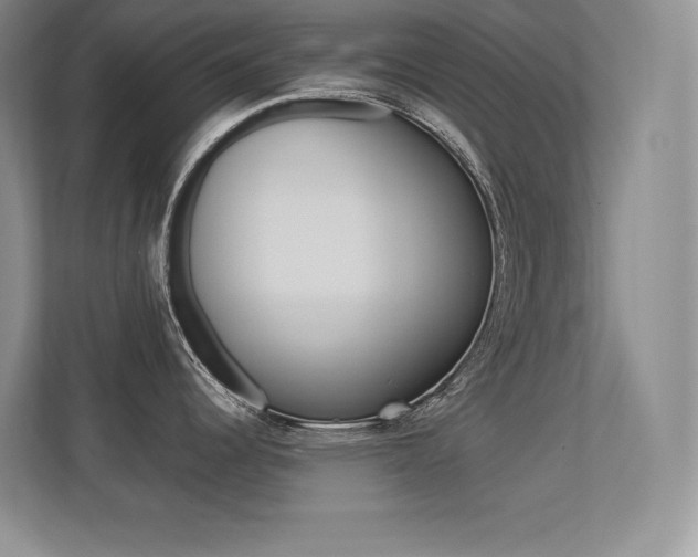 X0000113371344200909151019