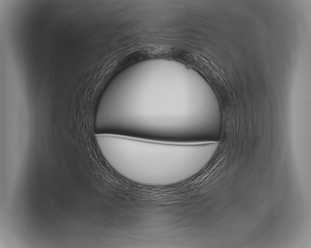 X0000113371345200909151018