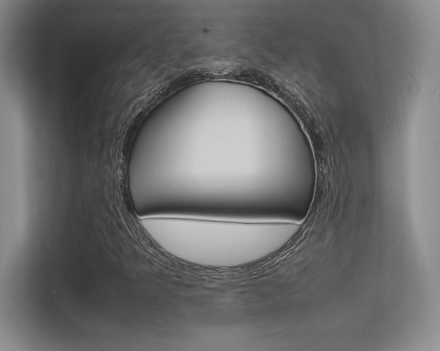 X0000113371349200909151018