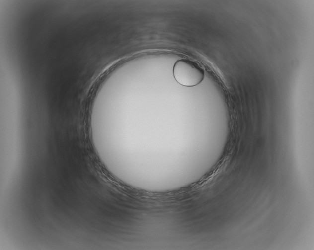 X0000113371352200909151018