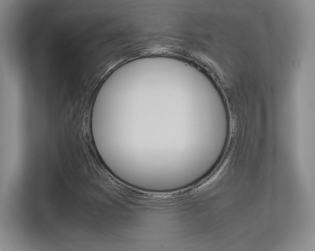 X0000113371353200909151018