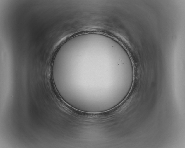 X0000113371355200909151018