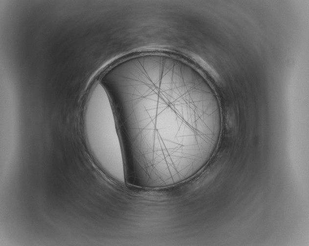 X0000113371356200909151018