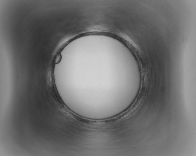 X0000113371358200909151018