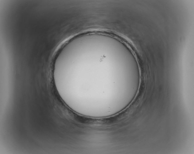X0000113371359200909151018