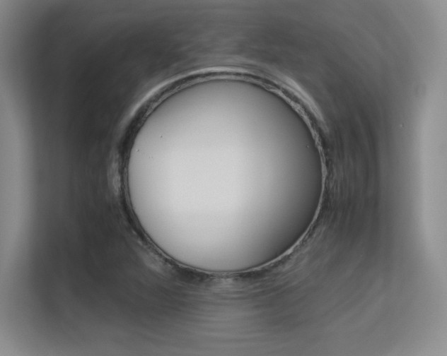 X0000113371360200909151018
