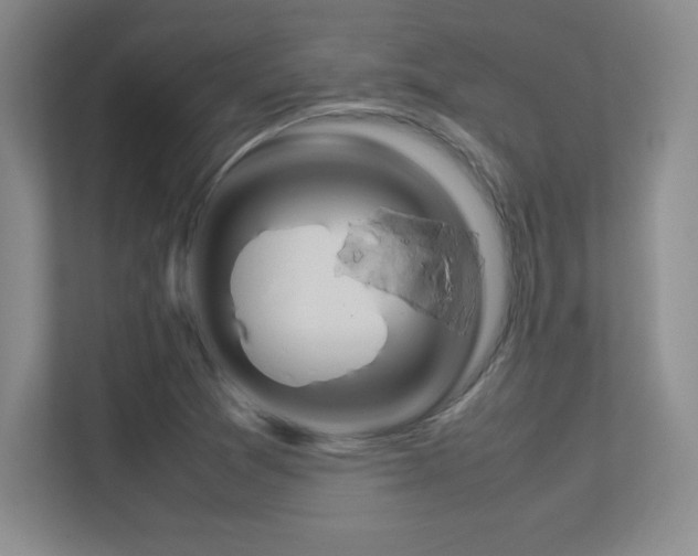 X0000113371361200909151018