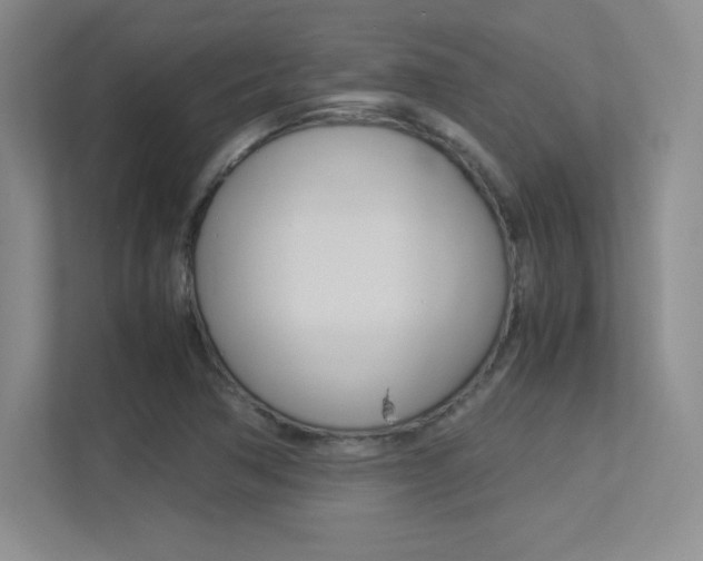 X0000113371362200909151018
