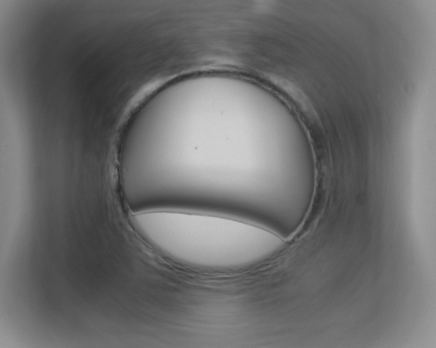 X0000113371363200909151018