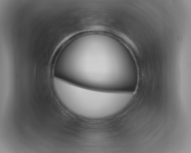 X0000113371364200909151018