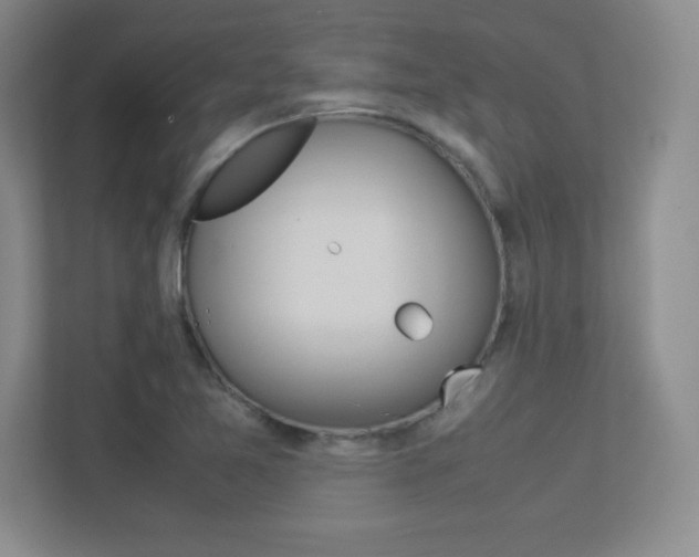 X0000113371365200909151018