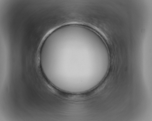 X0000113371367200909151018
