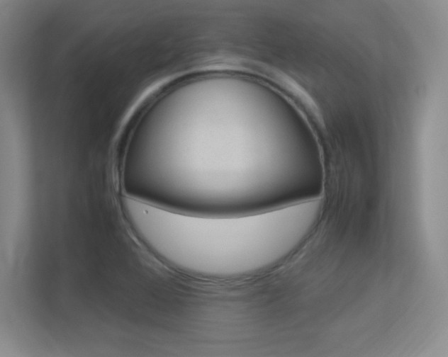 X0000113371368200909151018